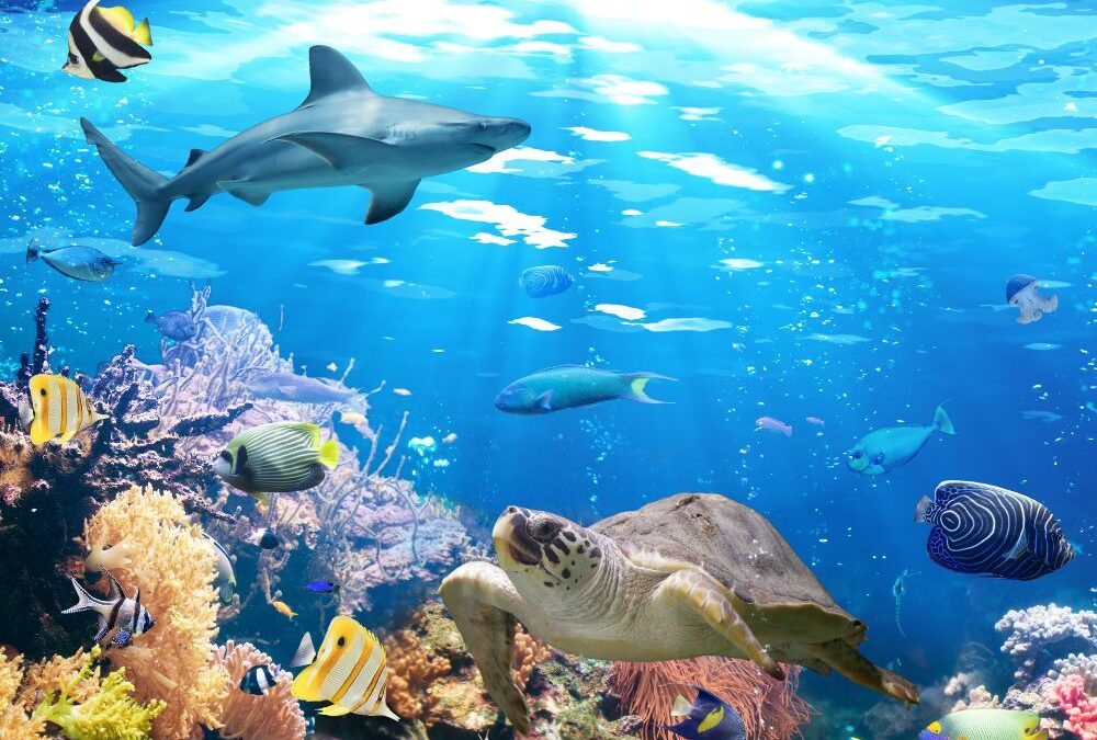 Top 10 Must-See Attractions Near Fish Hoek