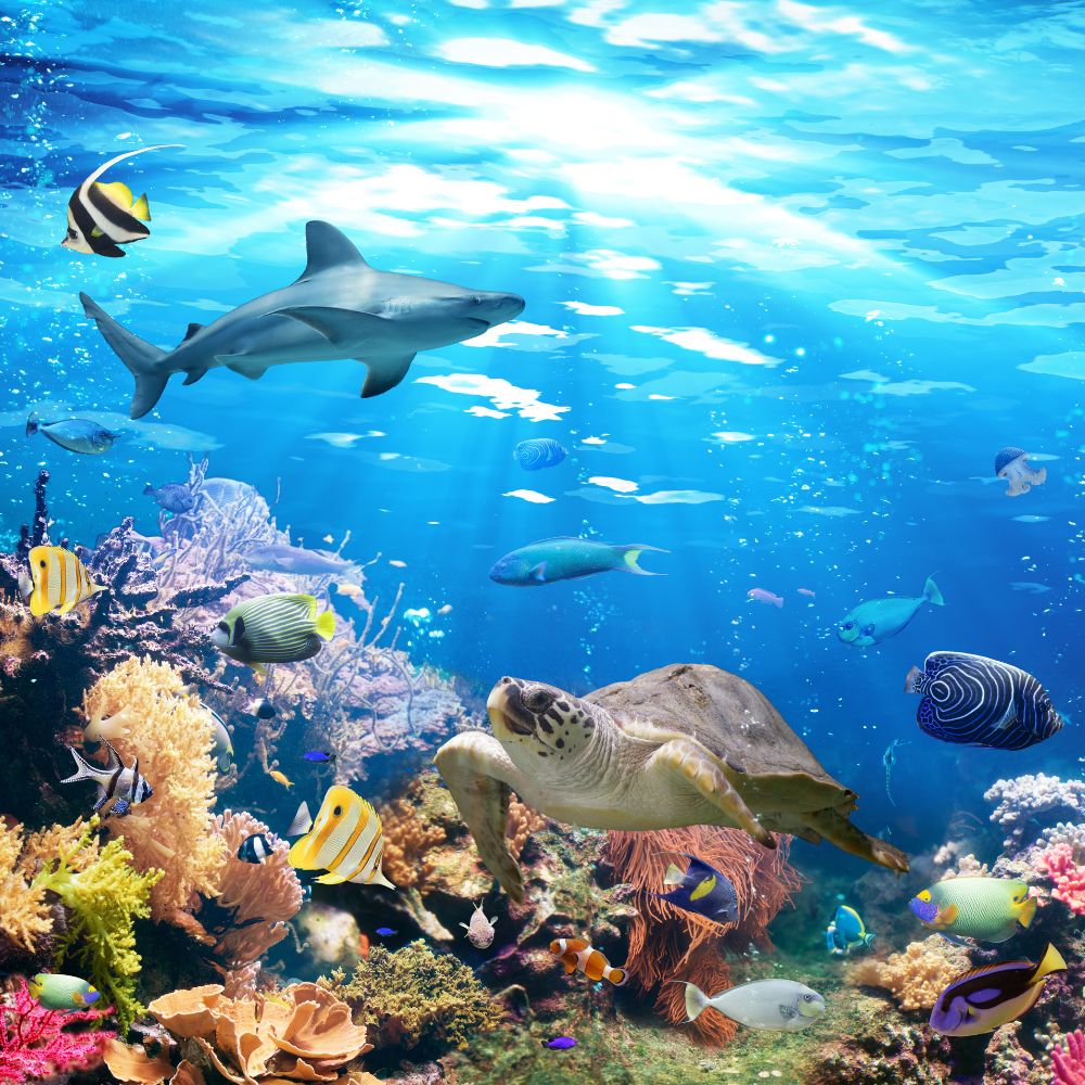 aquarium