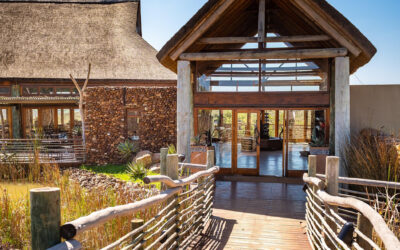 Cape Town for Business Travellers: Accommodation & Meeting Spots