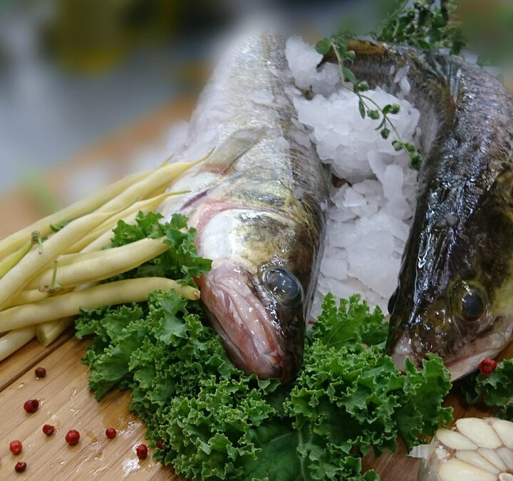 Where to Find the Best Seafood in Cape Town