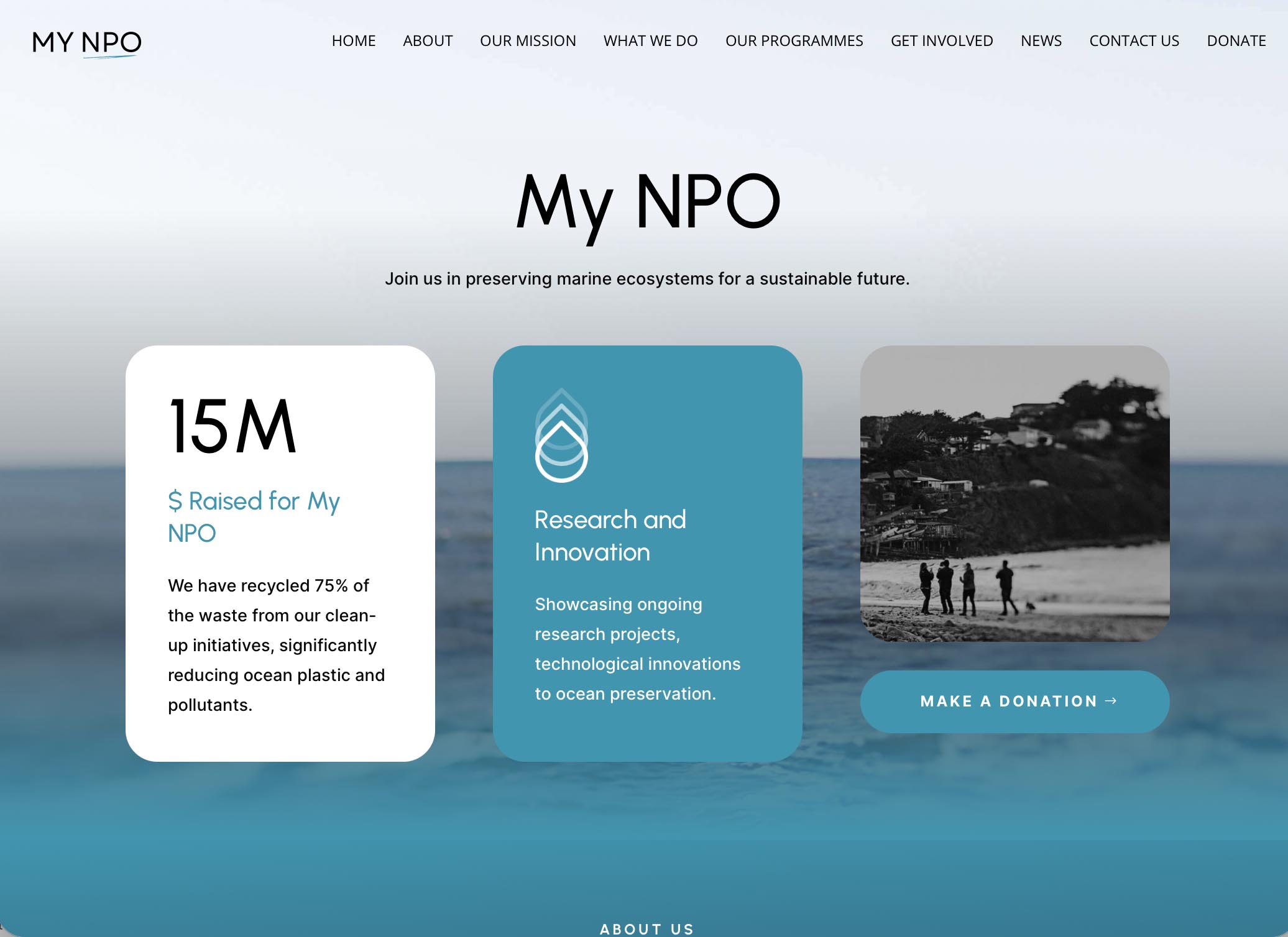 Home NPO Website - monthly